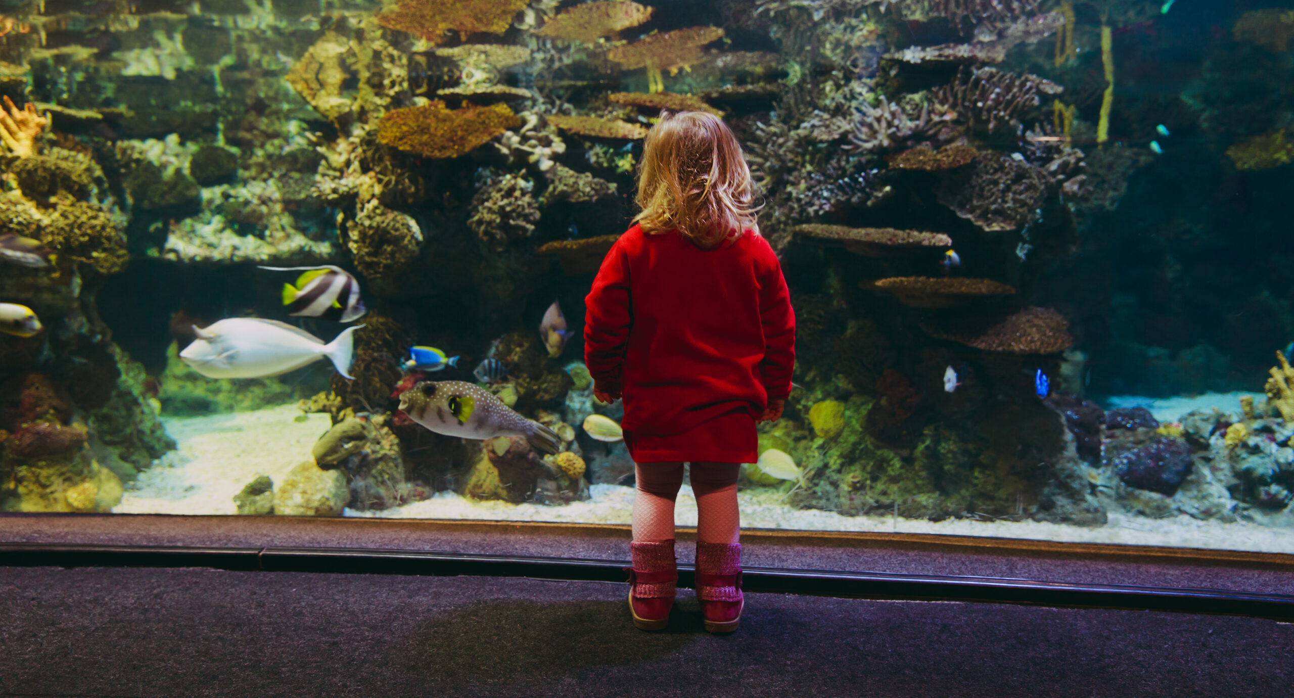 Unlocking Literacy through the Zoo and Aquarium Experience - Florence E ...